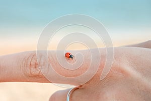 Ladybug on the hand, close-up