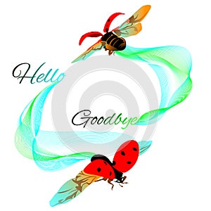 Ladybug hello goodbye wavy lines