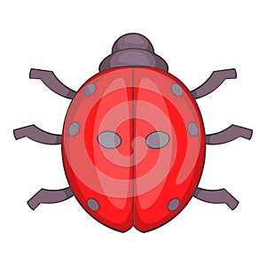Ladybug icon, cartoon style