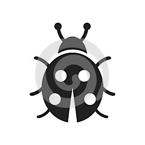 Ladybug icon vector isolated on white background, Ladybug sign