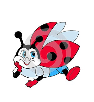 Ladybug illustration