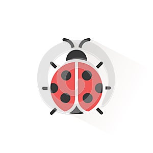 Ladybug. Isolated color icon. Animal vector illustration