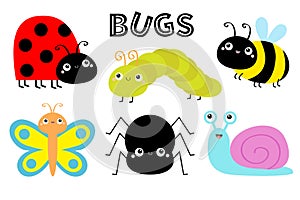 Ladybug ladybird, green caterpillar, butterfly, spider, lady bug honey bee, snai, beetle. Insect set. Cute cartoon kawaii baby