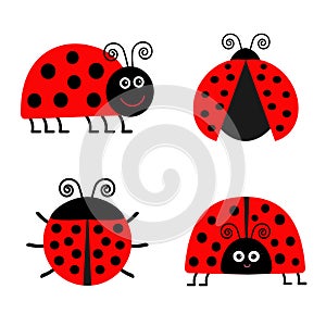 Ladybug Ladybird icon set. Baby background. Funny insect. Flat design Isolated