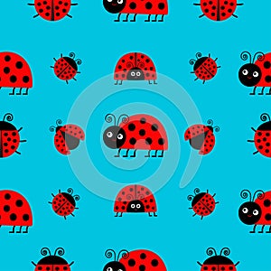 Ladybug Ladybird icon set. Baby collection. Funny insect. Seamless Pattern