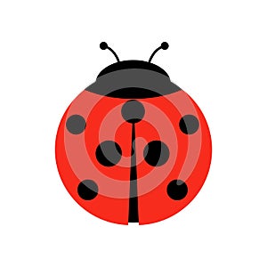 Ladybug or ladybird vector graphic illustration, isolated. Cute simple flat design of black and red lady beetle