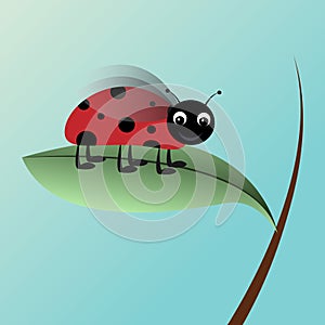 Ladybug on a leaf cartoon character vector illustration