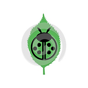 Ladybug on leaf icon isolated on white background