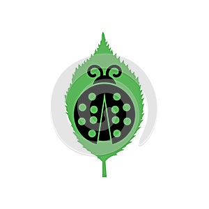 Ladybug on leaf icon isolated on white background