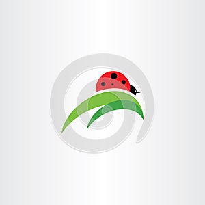 ladybug on leaf logo icon vector