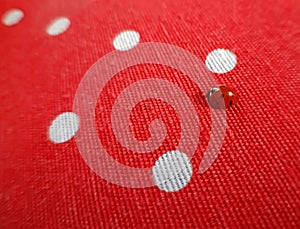 A ladybug. Macro photography red fabric background