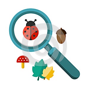 Ladybug and a magnifying glass