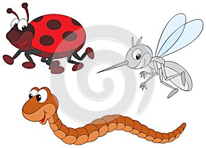 Ladybug, mosquito and worm