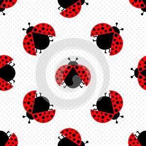 Ladybug seamless