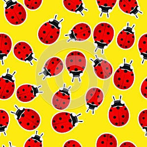 Ladybug seamless background