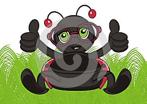 Ladybug sitting on the grass