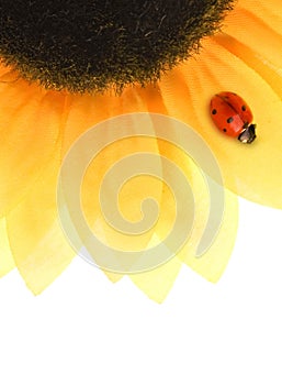 Ladybug sitting on a sunflower