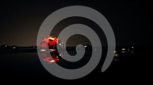 a ladybug sitting on top of water droplets on a black background