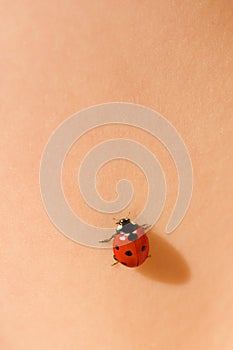 Ladybug on skin