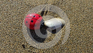 Ladybug story: weekend on he beach