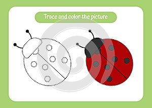 Ladybug. Trace and color the picture. Educational game for children. Handwriting and drawing practice. Nature theme activity for