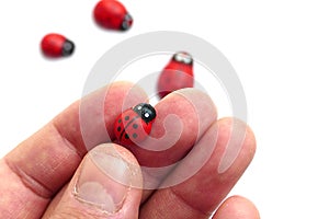 Ladybug on white background, close up ladybug and luck