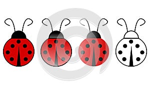 Ladybugs photo