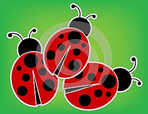 Ladybugs