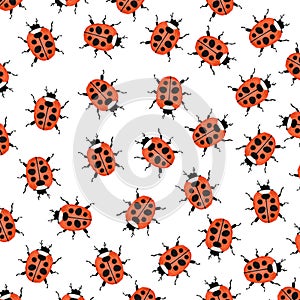 Ladybugs as background