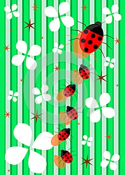 Ladybugs background