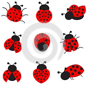 Ladybugs clip art collection