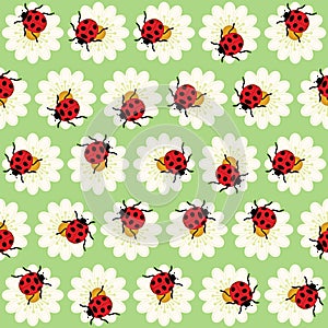 Ladybugs and daisies pattern