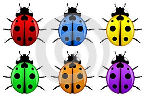 Ladybugs in Different Colors Isolated