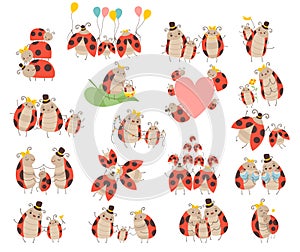 Ladybugs families set. Parents and kids of cute funny insects cartoon vector illustration