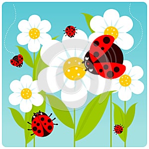 Ladybugs and flowers. Vector illustration