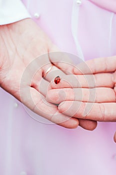 Ladybugs on the girlâ€™s hands