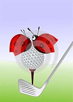 Ladybugs and golf