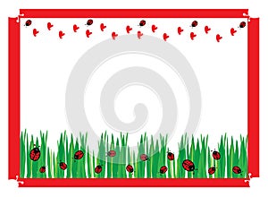 Ladybugs on green field photo