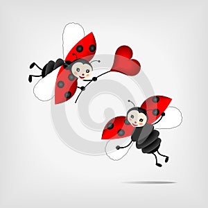 Ladybugs with heart