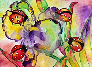 Ladybugs Iris Watercolor