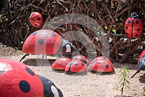 Ladybugs made of wood. Wooden sculptures in the park. Thann. France.