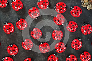 Ladybugs magnets