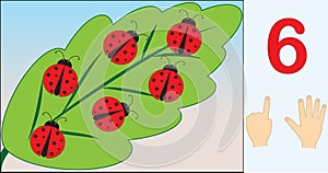 Ladybugs. Number 6 six. Learning counting, mathematics.