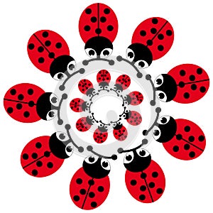 Ladybugs on white background in ring