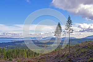 Ladysmith shoreline from top of a mountain taken on Vancouver Is photo