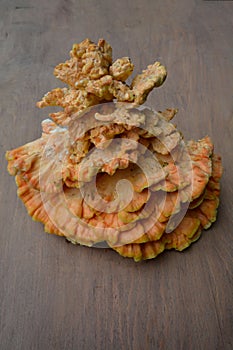 Laetiporus sulphureus Sulfur Shelf mushroom