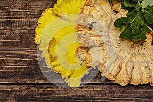 Laetiporus sulphureus, wild forest mushroom photo