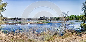 Lafayette Heritage Trail Park Swamp