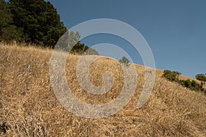 Lafayette Reservoir Recreational Area