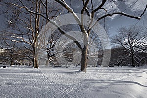 Lafayette Square